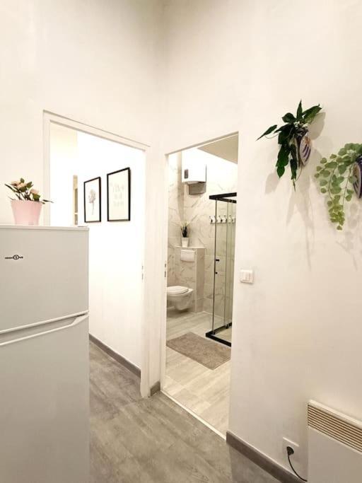 Appartement Gare Saint Charles Марсель Екстер'єр фото